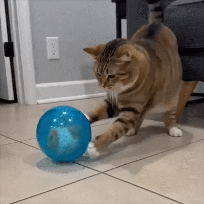 🔥LAST DAY 50% OFF ✨IVOSOMA® Self-Rolling Interactive Cat Ball