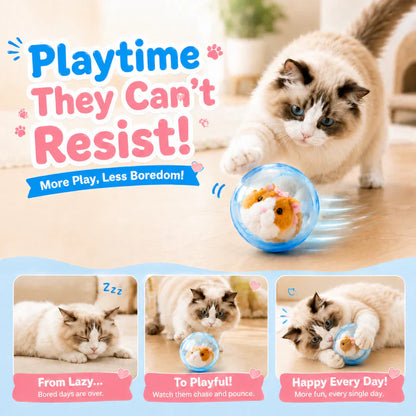 🔥LAST DAY 50% OFF ✨IVOSOMA® Self-Rolling Interactive Cat Ball