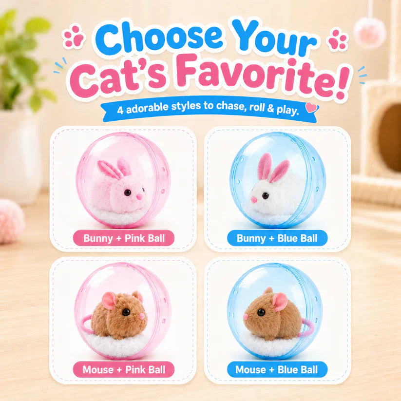 🔥LAST DAY 50% OFF ✨IVOSOMA® Self-Rolling Interactive Cat Ball