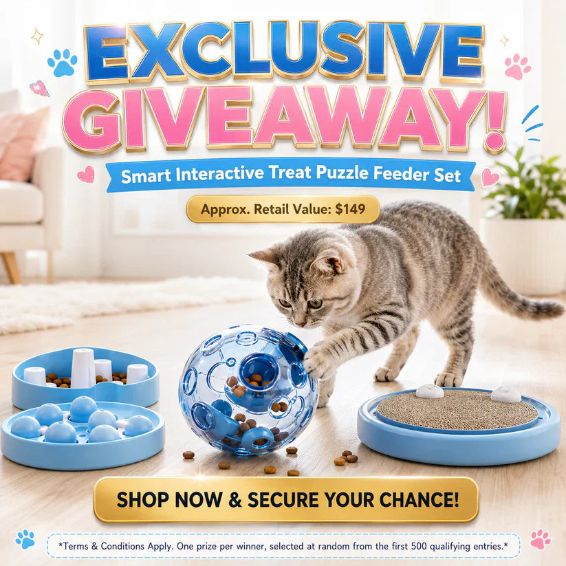 🔥LAST DAY 50% OFF ✨IVOSOMA® Self-Rolling Interactive Cat Ball