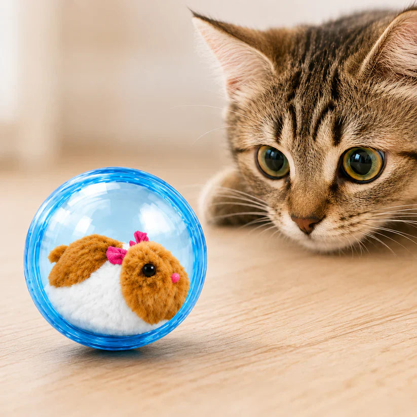 🔥LAST DAY 50% OFF ✨IVOSOMA® Self-Rolling Interactive Cat Ball